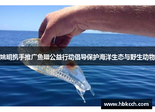 姚明携手推广鱼翅公益行动倡导保护海洋生态与野生动物