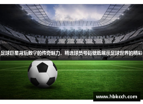 足球巨星背后数字的传奇魅力，精选球员号码壁纸展示足球世界的精彩