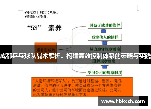成都乒乓球队战术解析：构建高效控制体系的策略与实践